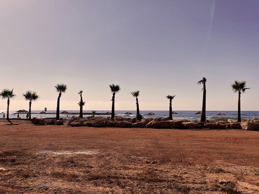 Photograph by Юлия Гурова