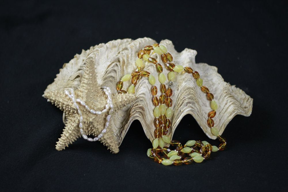 Фотография автора Александр Рябцев