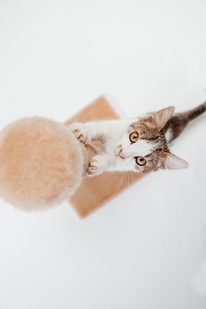 Photograph by Любовь Нефедова