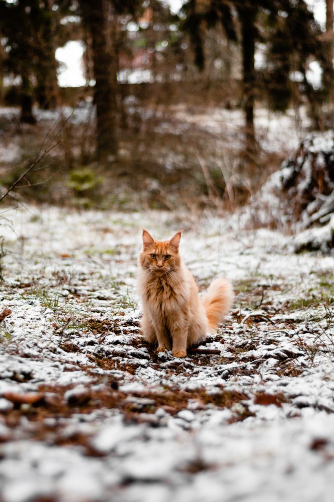 Photograph by Nika Prokopenko