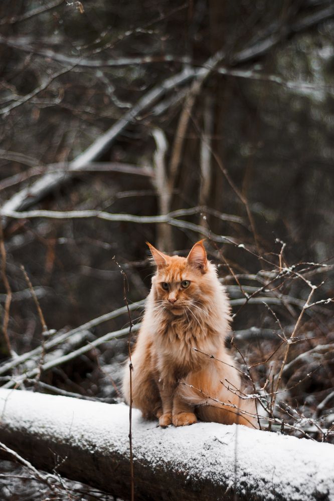 Photograph by Nika Prokopenko