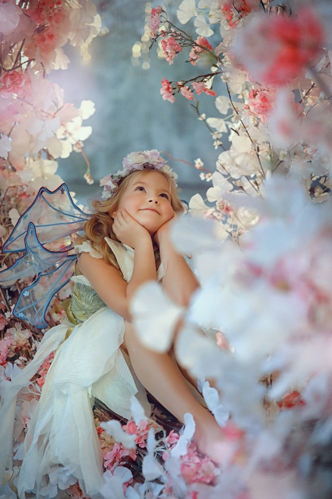 Фотография автора Наталья Законова