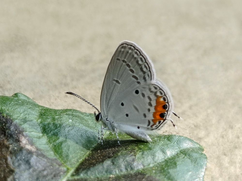 Photograph by Angelica Gutierrez