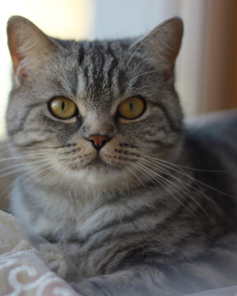 Photograph by Гузель