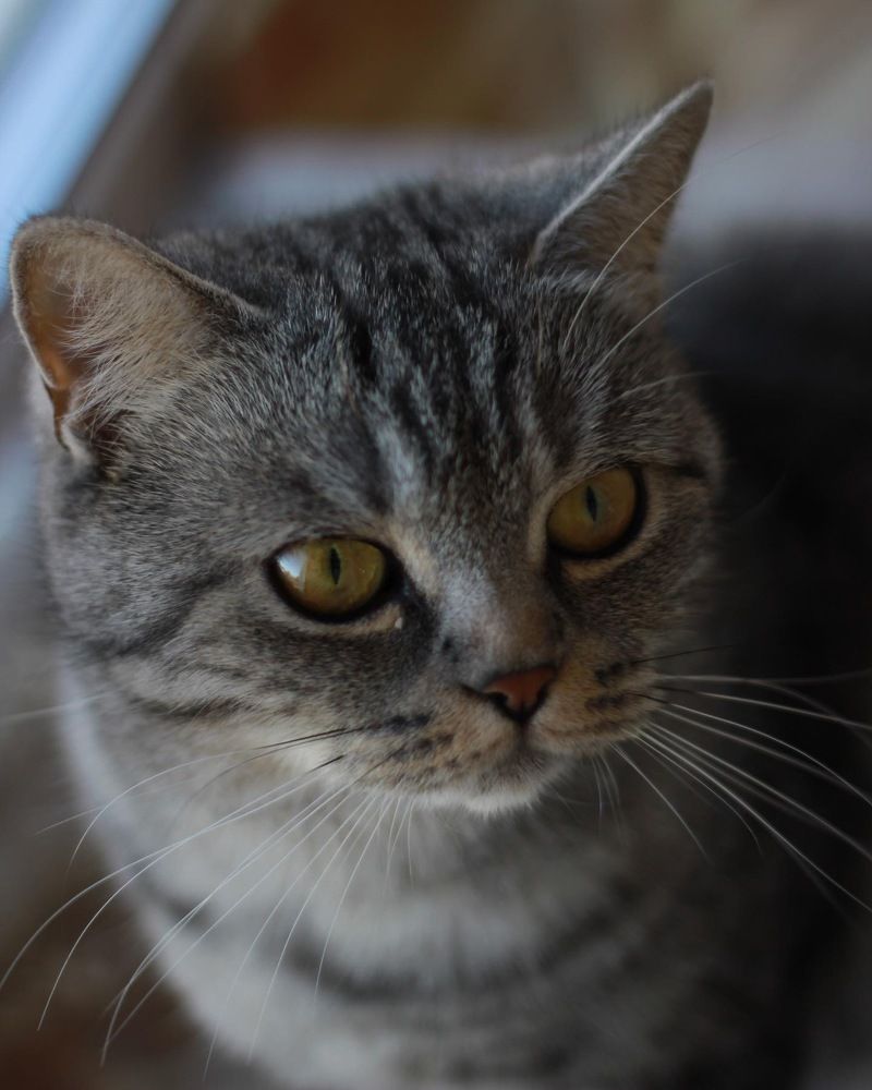 Photograph by Гузель