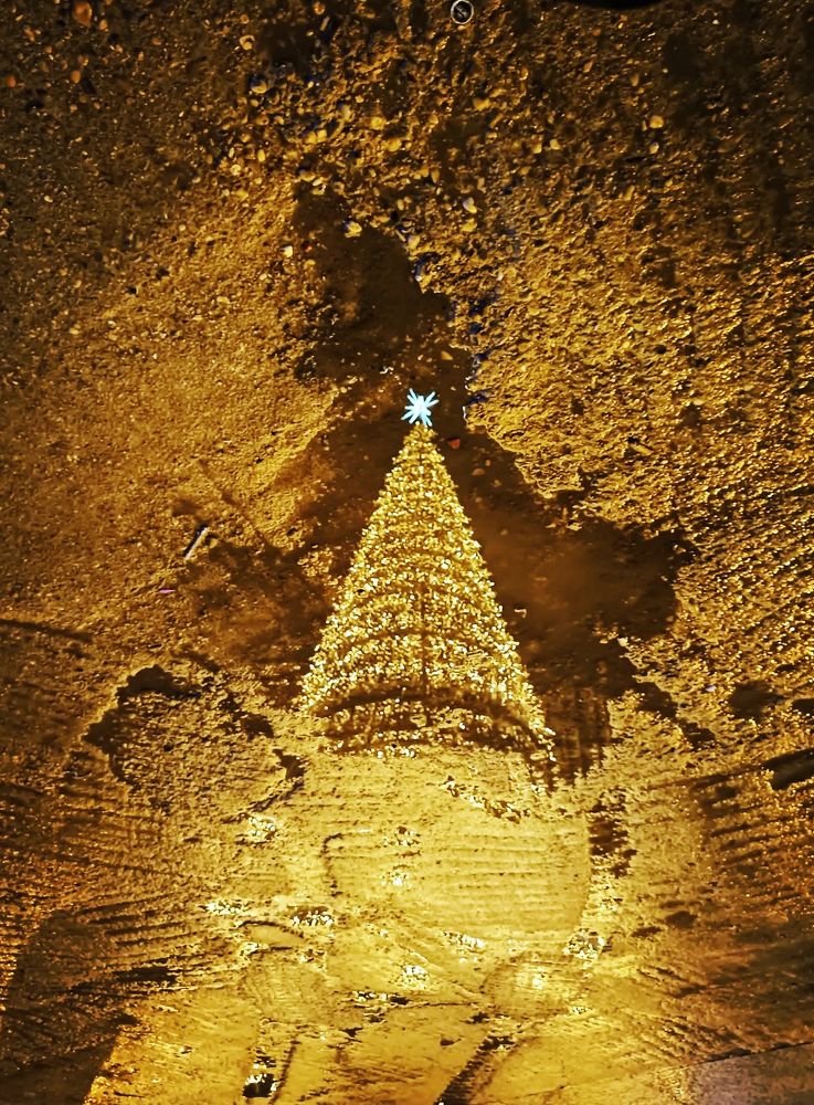 Photograph by Luis Quintano Navarro