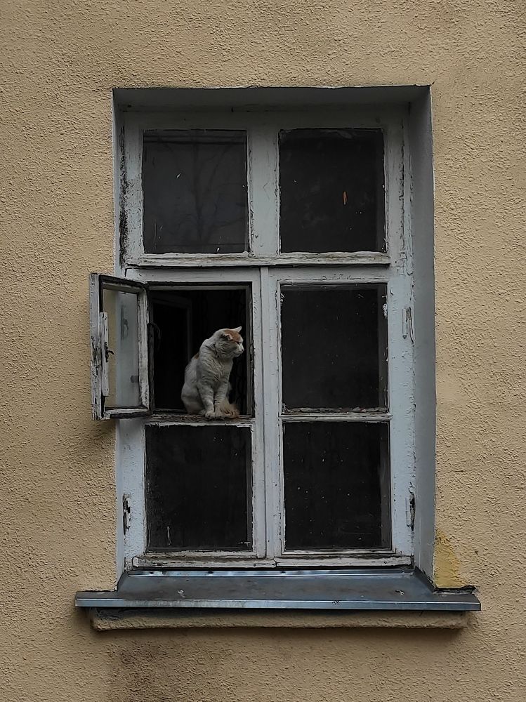 Photograph by Алексей Закхеев