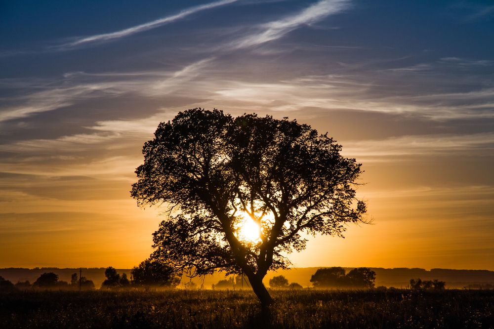 Photograph by Роман Черный