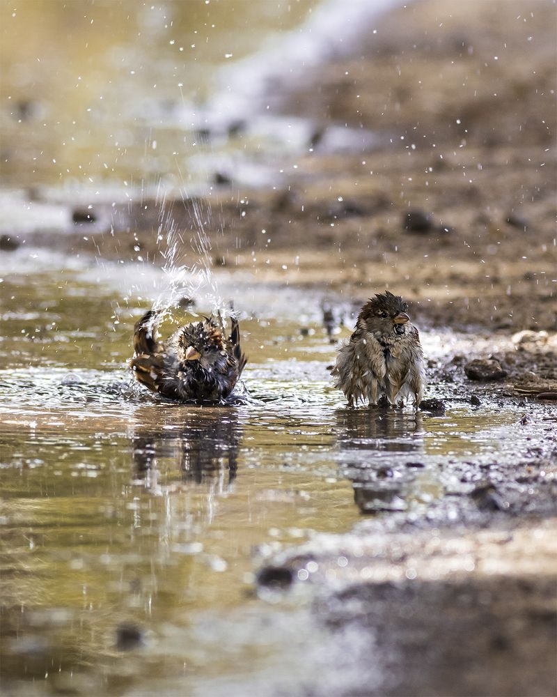 Photograph by Valdir Hobus