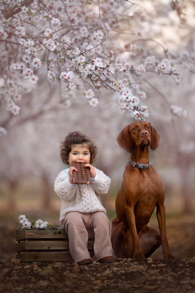 Photograph by Hamutal Avioz