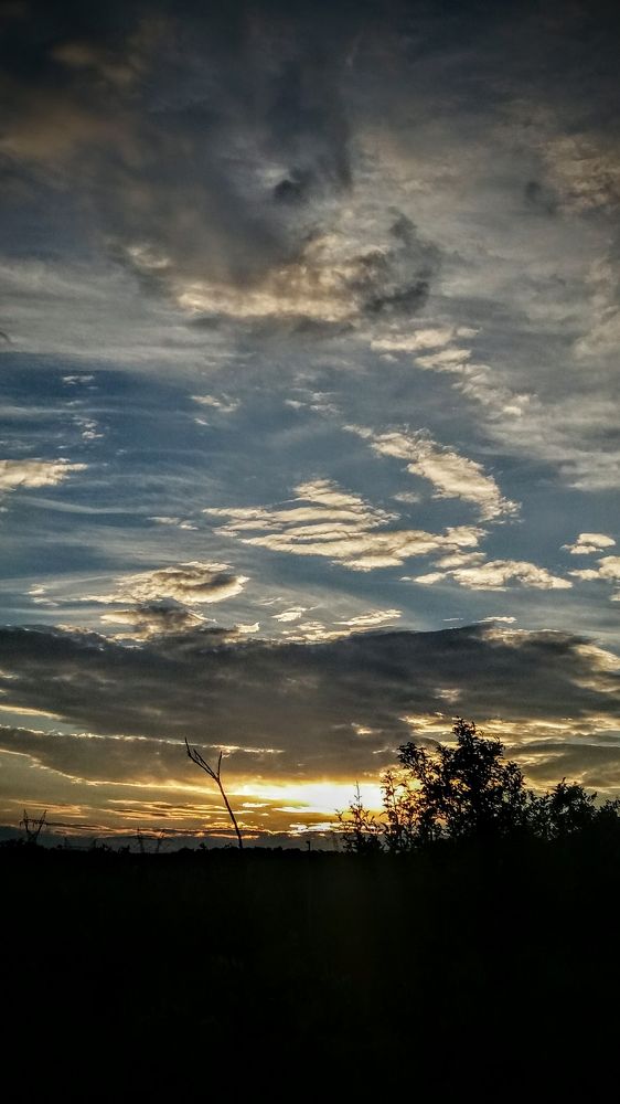 Photograph by Viana Vaseqi