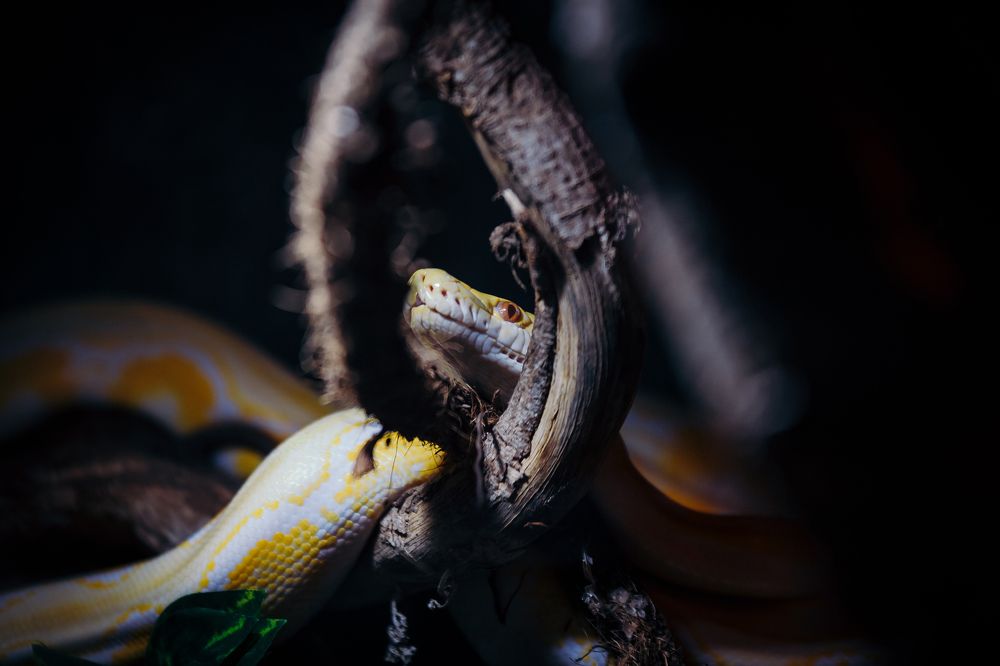 Photograph by Эльчин