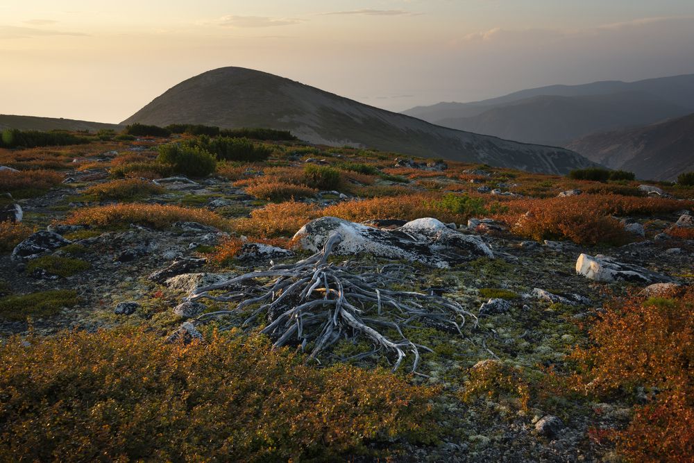 Photograph by Елена Вторушина