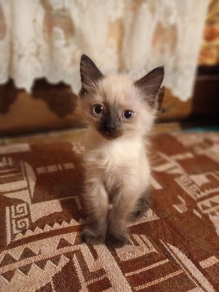 Photograph by Олеся