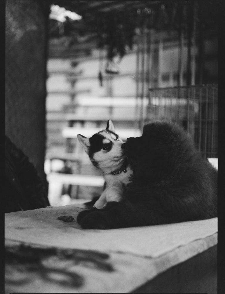 Photograph by Евгений Батрак