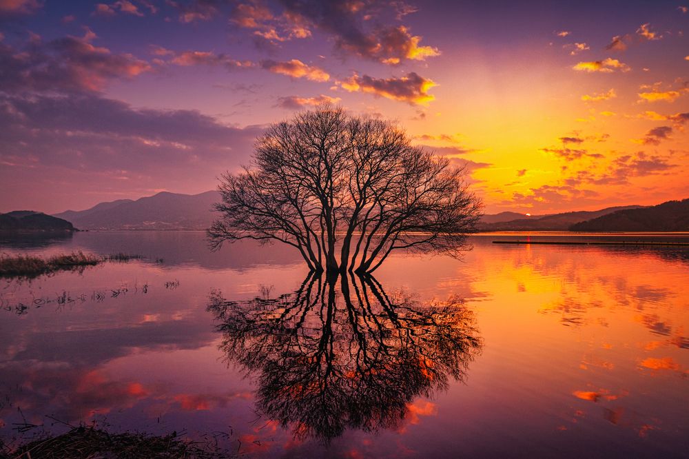 beautiful golden sunset on the lake