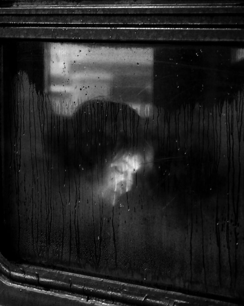 Люди в окнах поездов