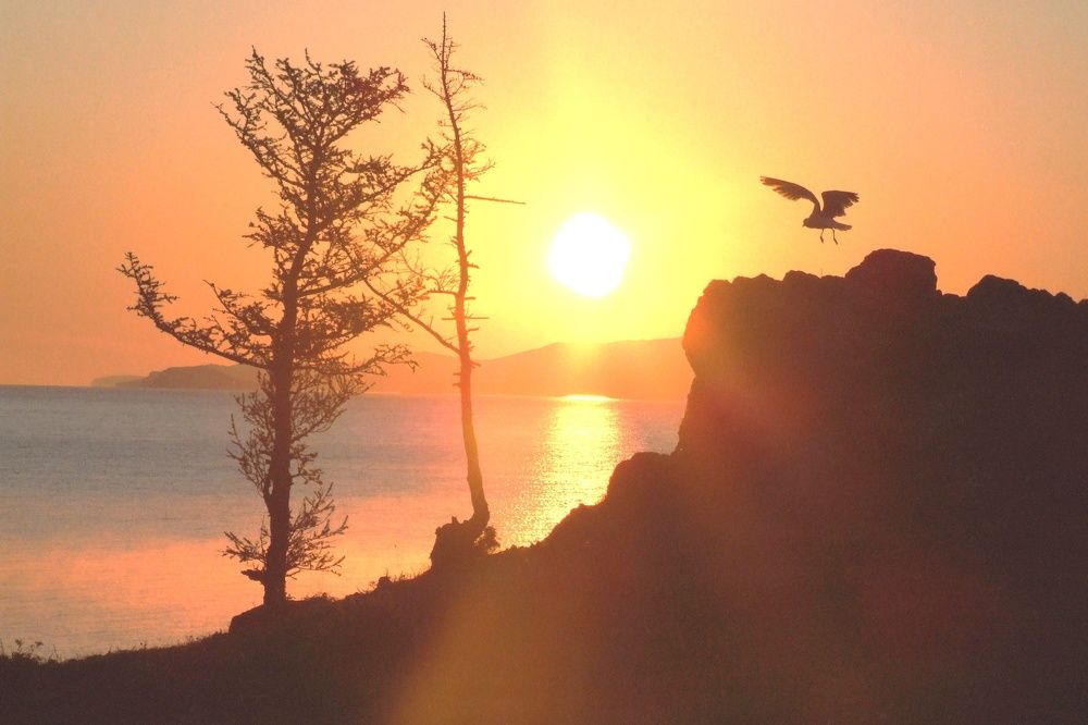 Раннее утро.