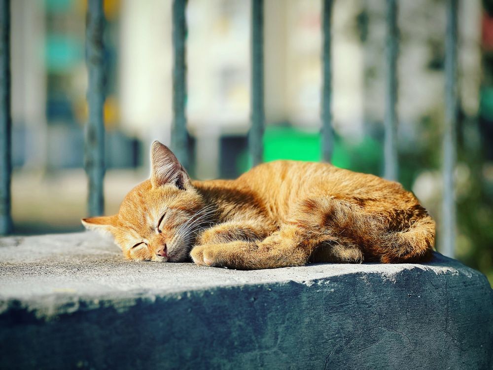 Photograph by Эльчин