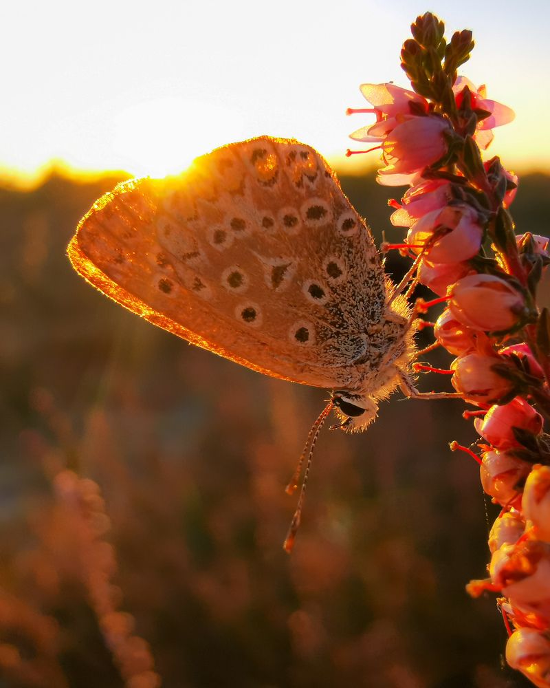 Фотография автора Дмитрий