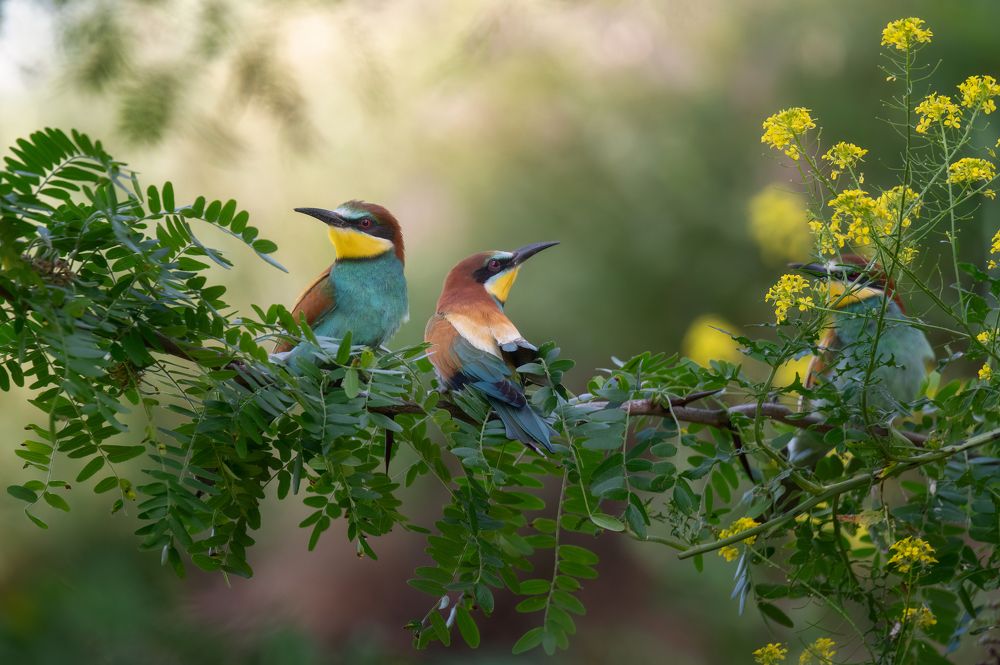 Photograph by Александр Плеханов
