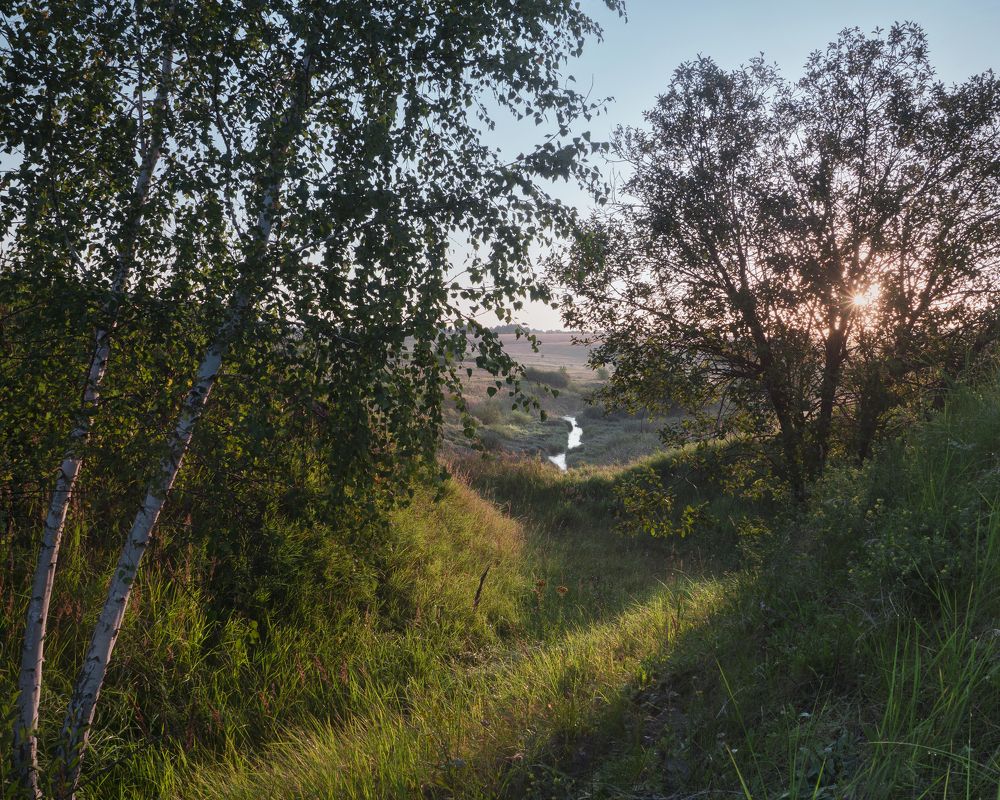 Photograph by Гусев Паша