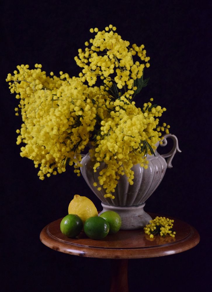 Фотография автора Regina Belomytseva-Dahan