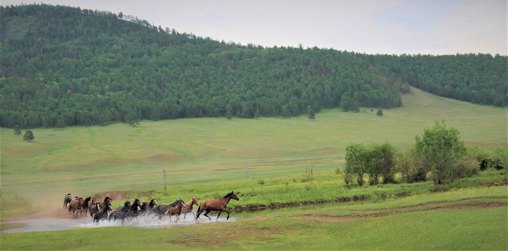 Скоростная переправа.