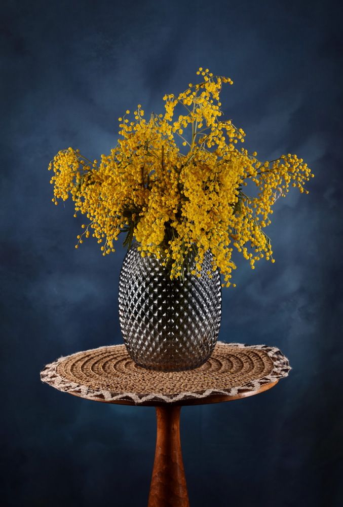 Фотография автора Regina Belomytseva-Dahan