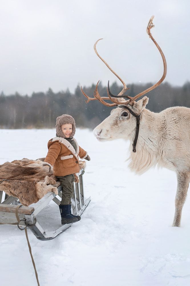 Photograph by Анастасия Сержантова