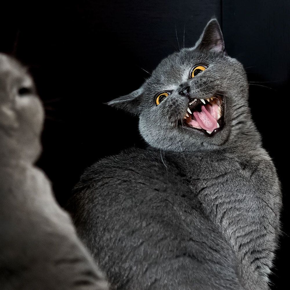 Photograph by Михаил Попов