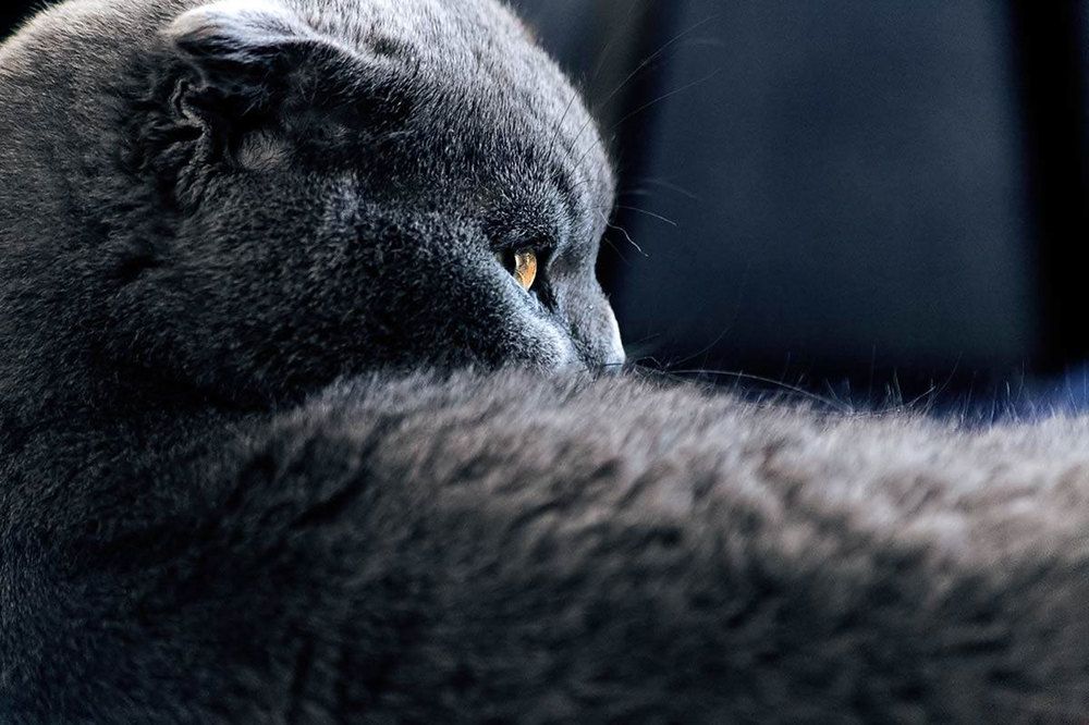 Photograph by Михаил Попов