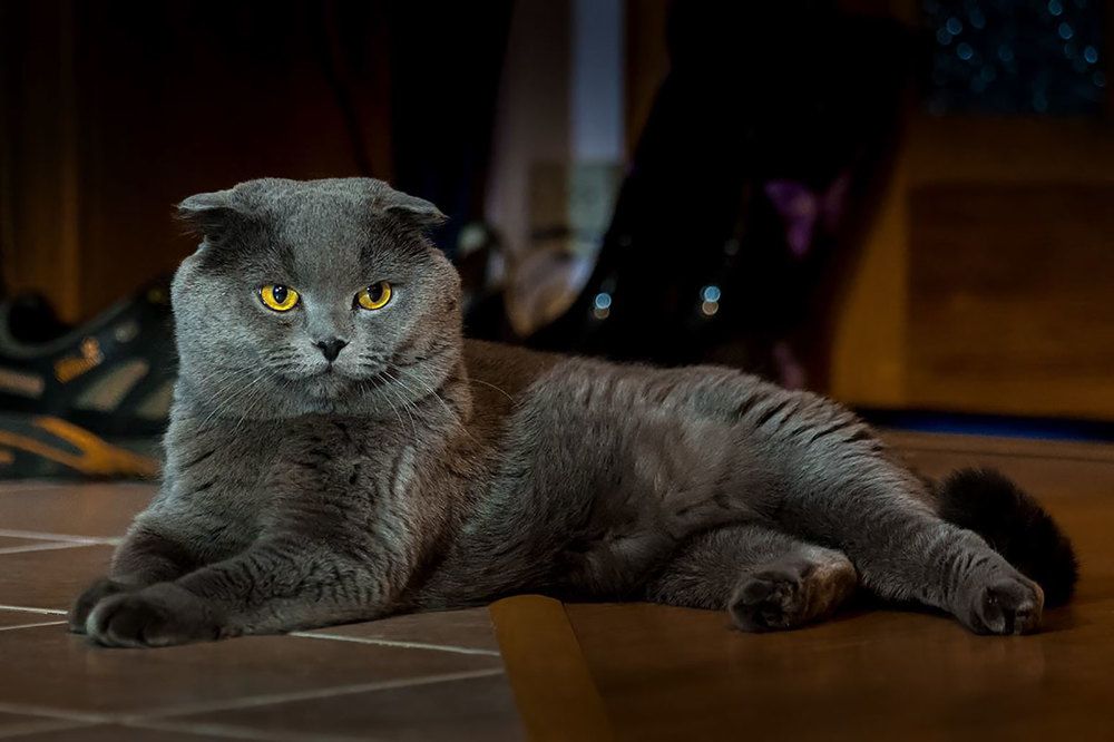 Photograph by Михаил Попов