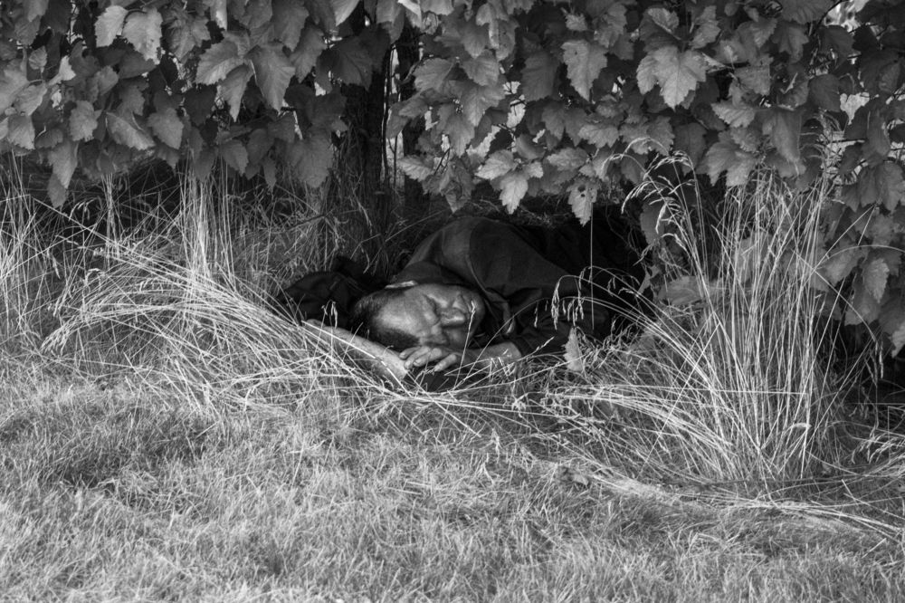 Photograph by Олег Емельянов