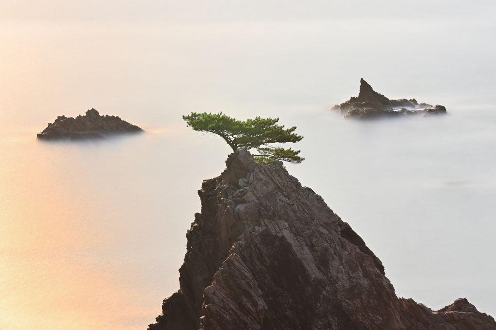 Photograph by Ohta Sigeki