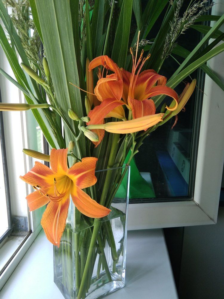 Photograph by Irinochka Zorina