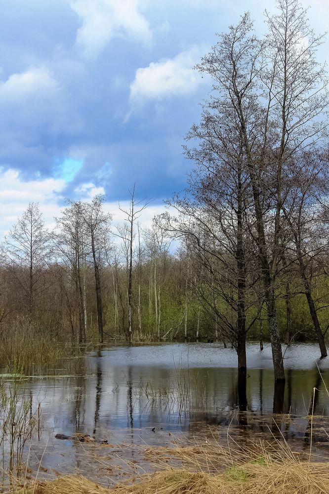 Photograph by Екатерина