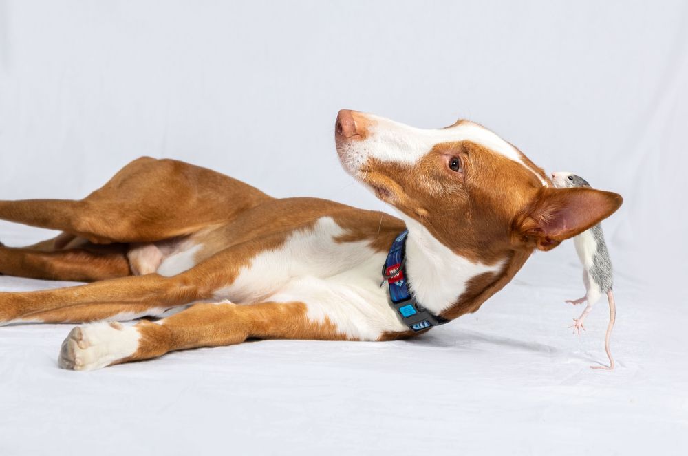 Photograph by Дмитрий Алабугин