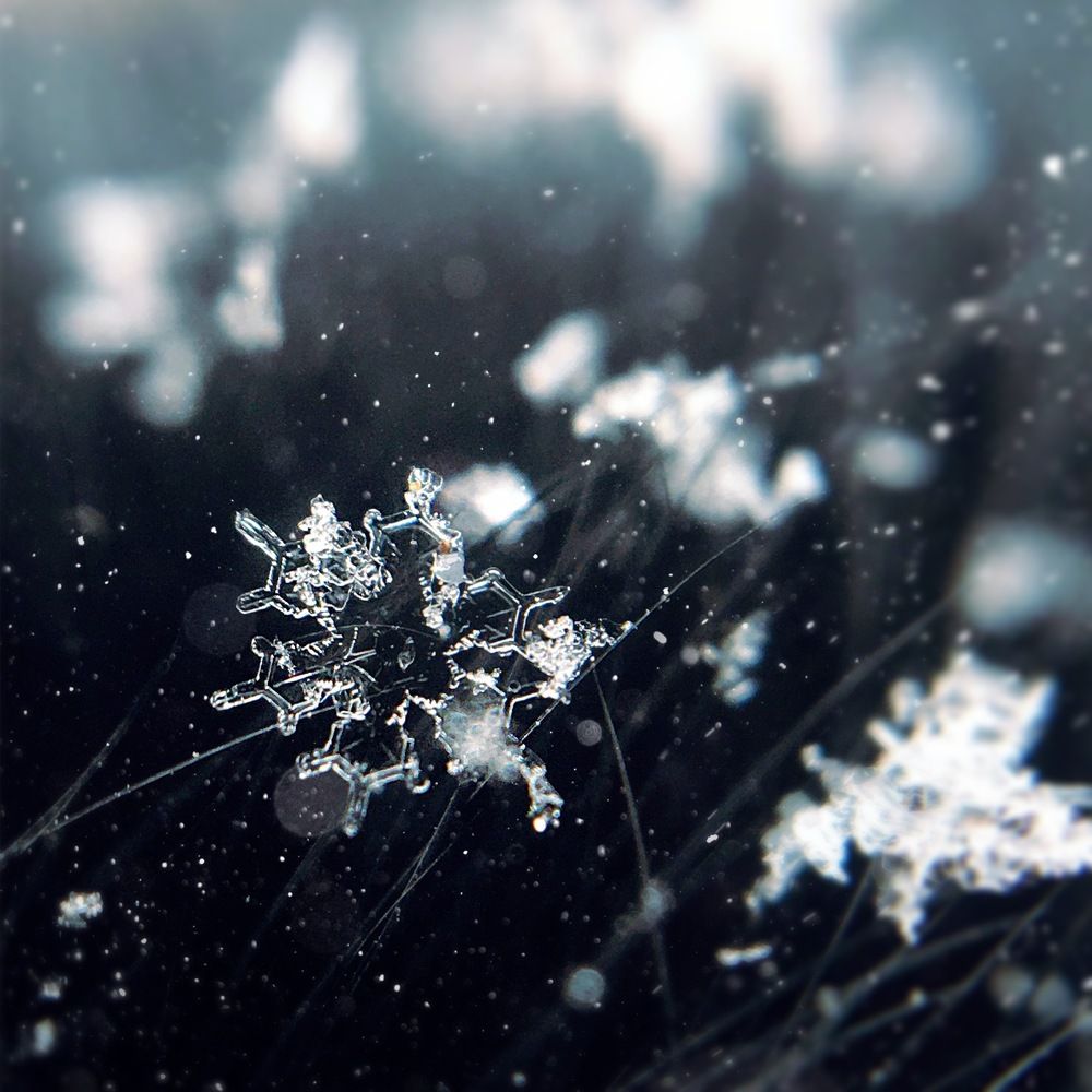 Photograph by Татьяна Галаева