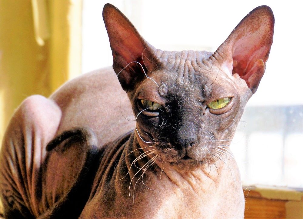 Photograph by Inna Oshe