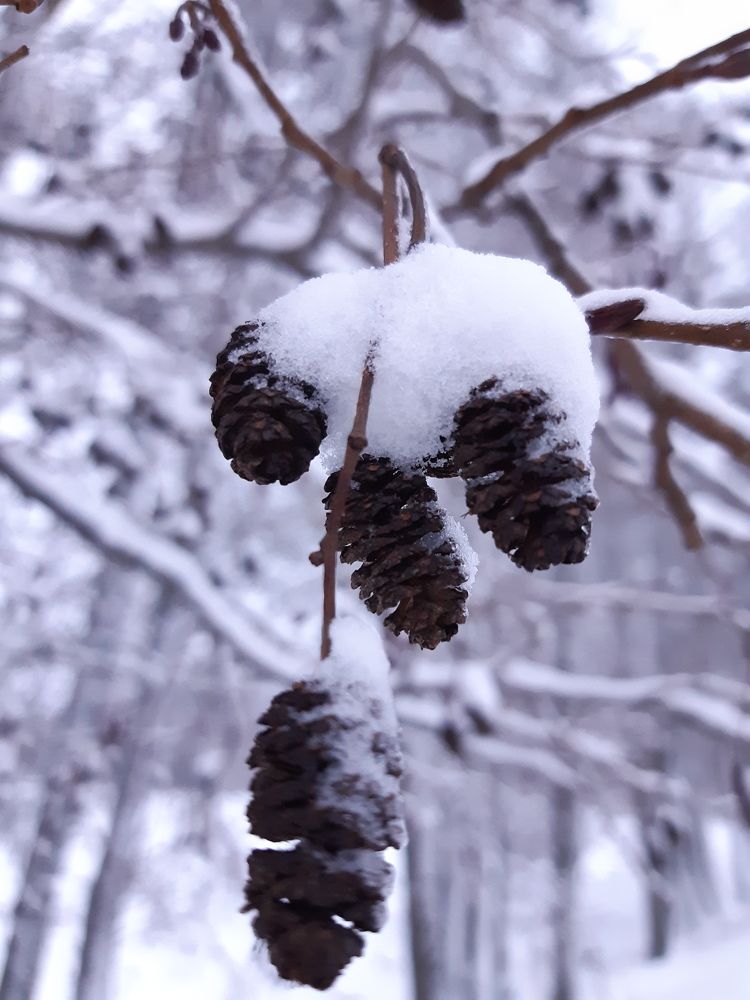 Photograph by Наталья Михалина