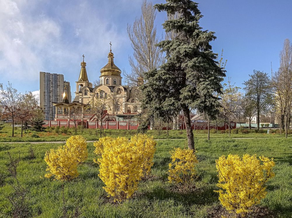 Фотография автора Панасюк Елена