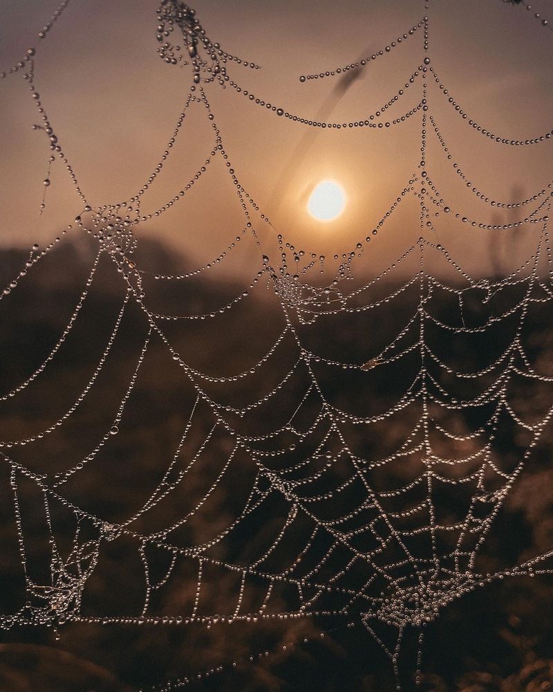 Photograph by Александра