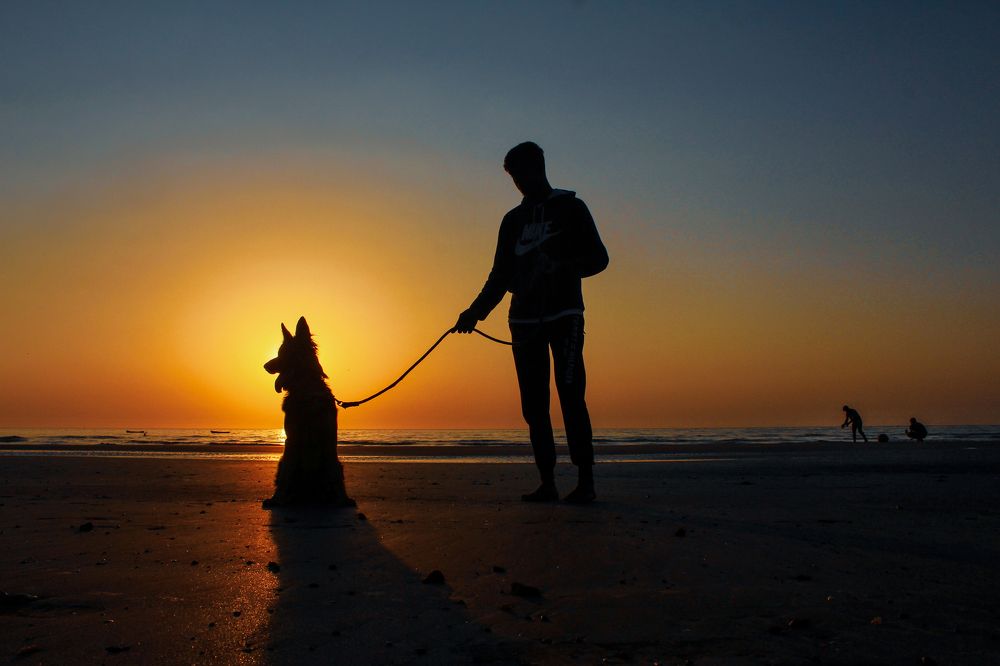 A boy and his friend