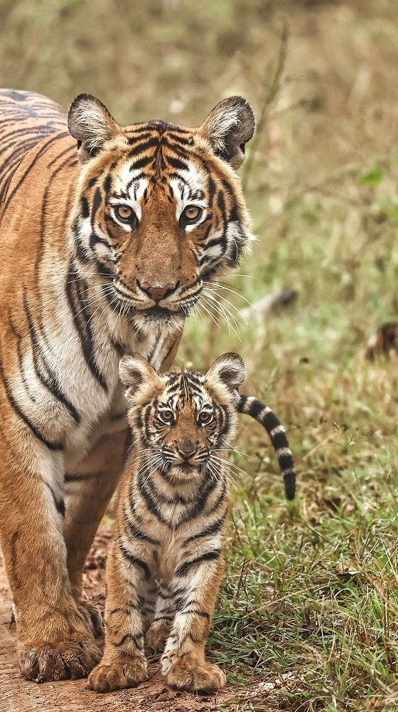 Photograph by RAVI S