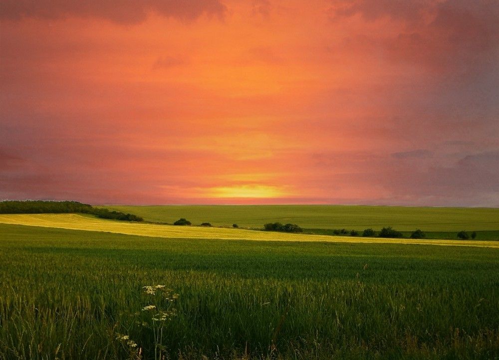 Photograph by Nikolett Mengyi