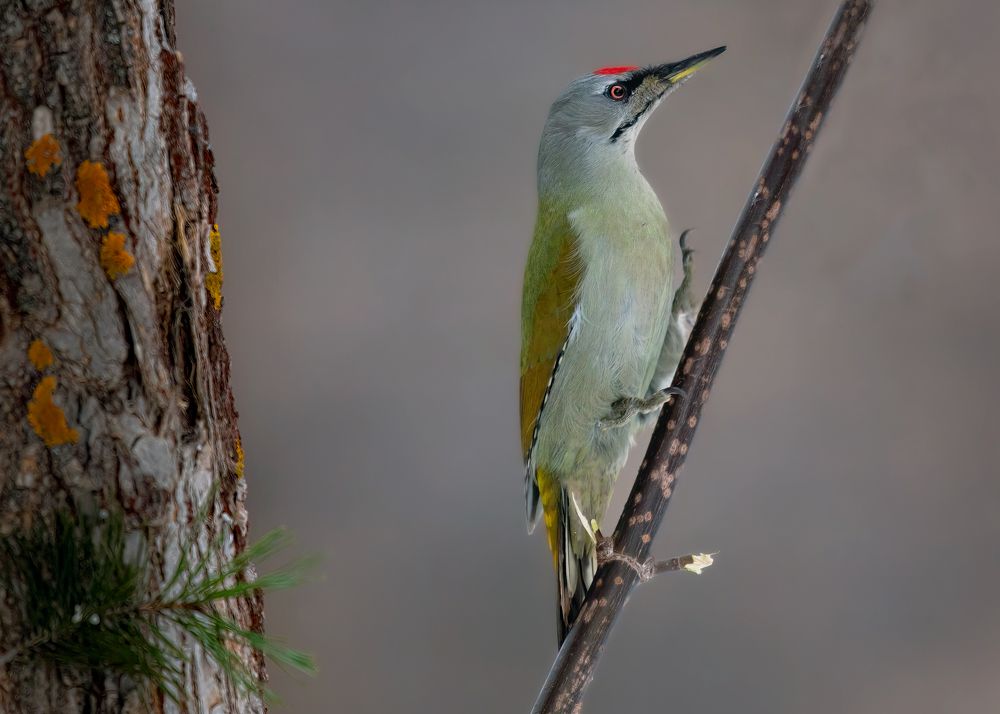 Photograph by Марат Кучкаев