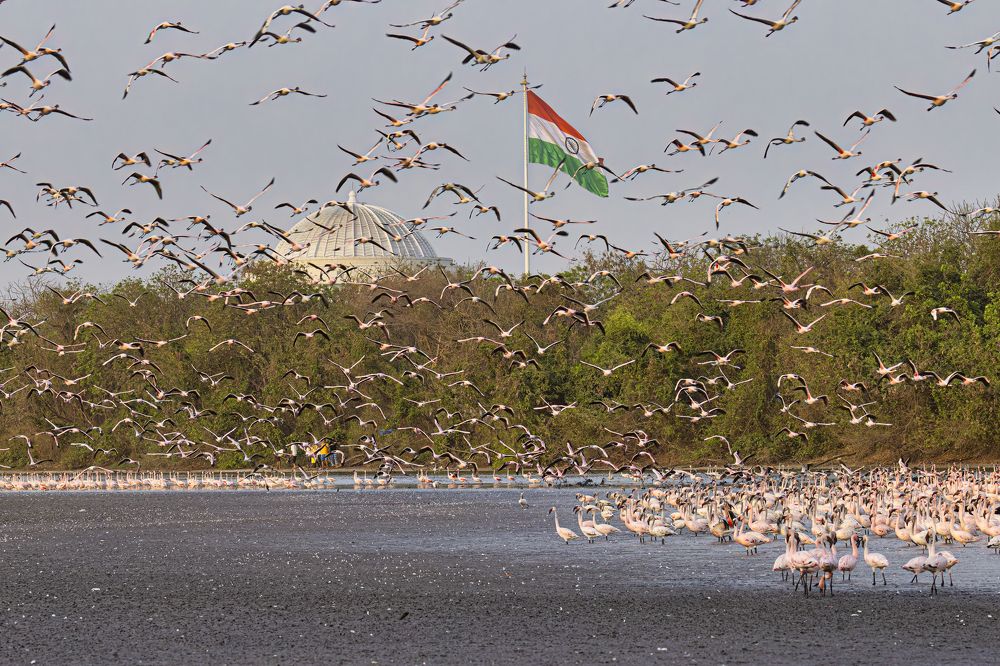 Photograph by Smita Behera