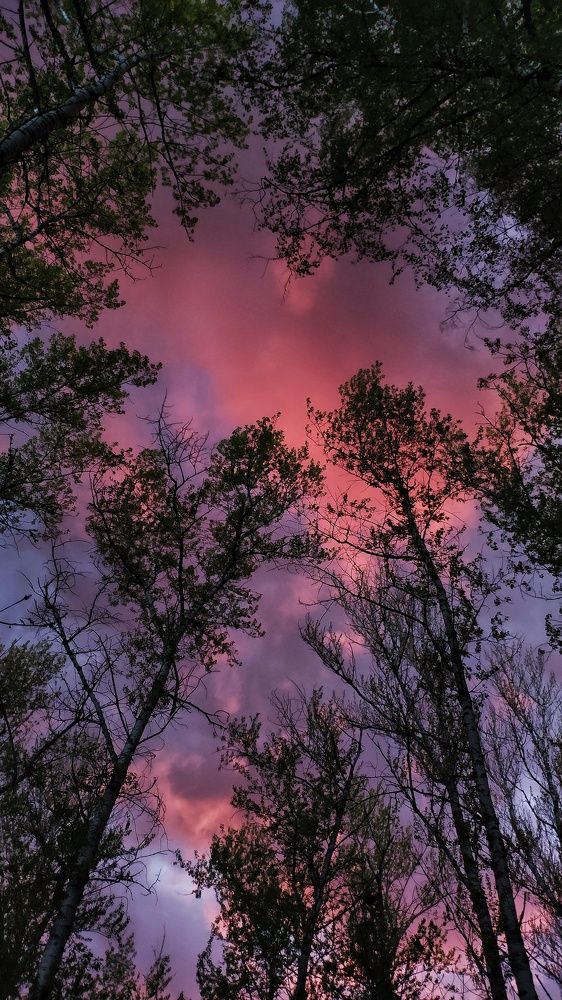 Photograph by Анна Корнейко