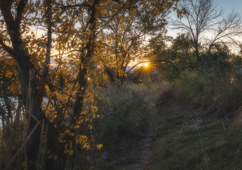 Photograph by Владимир Крюков